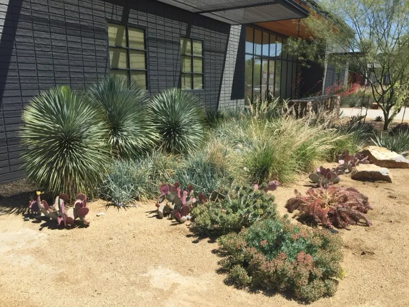Xeriscape